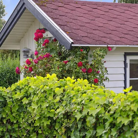 Beautiful In With Wifi Holiday home